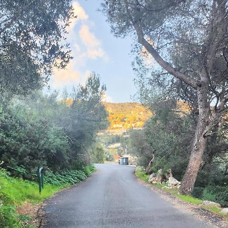 Le Mas D'Angeline, Vue Mer, Jardin Commun, Parking, Voiture Requise, 10 Min En Voiture De Monaco, Route Etroite, Pente Raide, Croisement Limite, Sea View, Shared Garden, Parking, Car Required, 10 Min Drive From Monaco, Narrow Steep Road, Limited Pass Beausoleil Eksteriør bilde