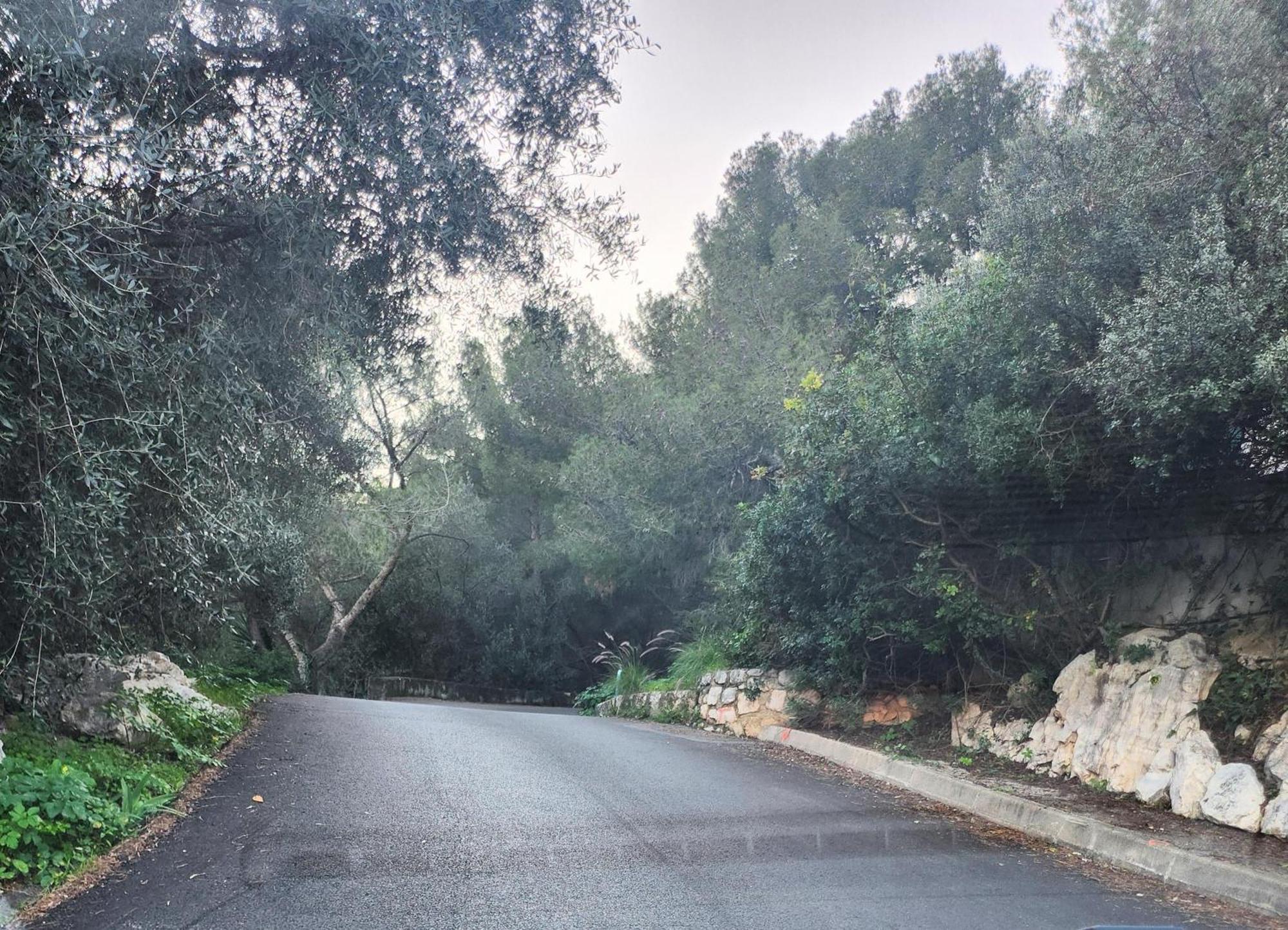 Le Mas D'Angeline, Vue Mer, Jardin Commun, Parking, Voiture Requise, 10 Min En Voiture De Monaco, Route Etroite, Pente Raide, Croisement Limite, Sea View, Shared Garden, Parking, Car Required, 10 Min Drive From Monaco, Narrow Steep Road, Limited Pass Beausoleil Eksteriør bilde