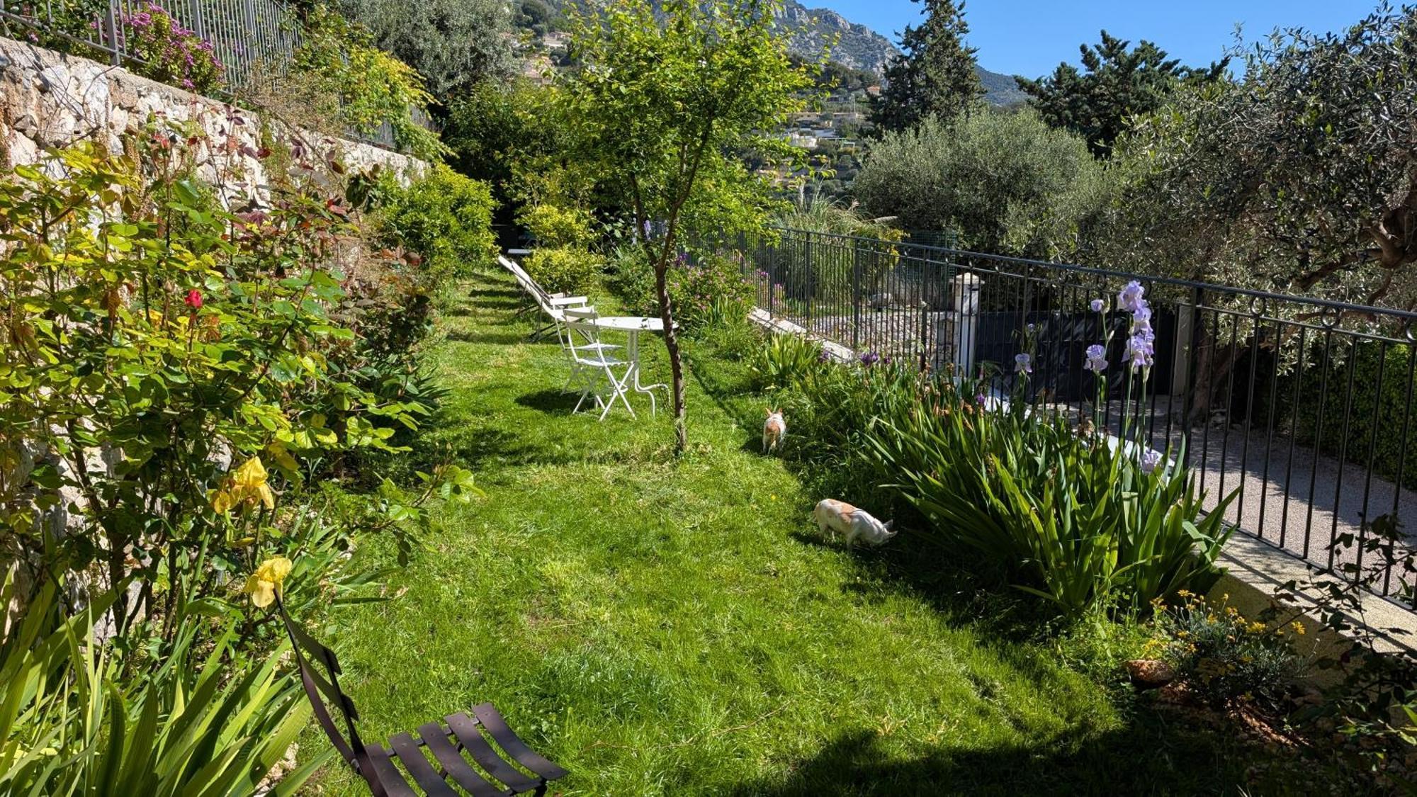 Le Mas D'Angeline, Vue Mer, Jardin Commun, Parking, Voiture Requise, 10 Min En Voiture De Monaco, Route Etroite, Pente Raide, Croisement Limite, Sea View, Shared Garden, Parking, Car Required, 10 Min Drive From Monaco, Narrow Steep Road, Limited Pass Beausoleil Eksteriør bilde